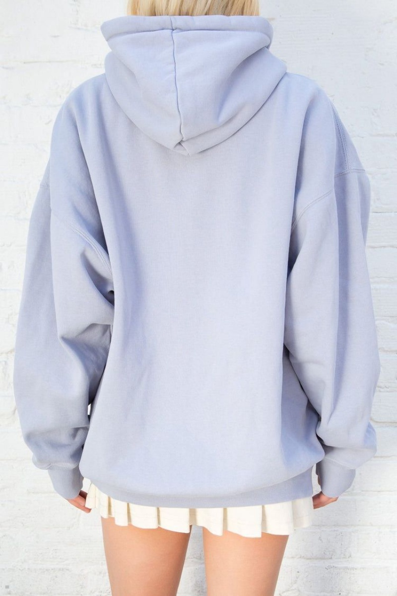 Sweat a Capuche Brandy Melville Christy Bleu Clair | JNR-37202712